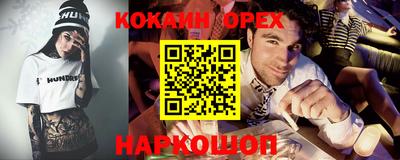 мдпв Кингисепп