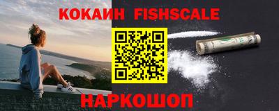 мдпв Кингисепп