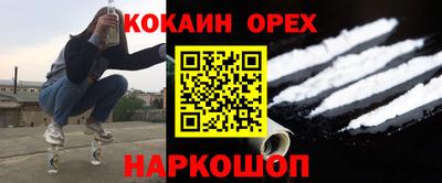 мдпв Кингисепп