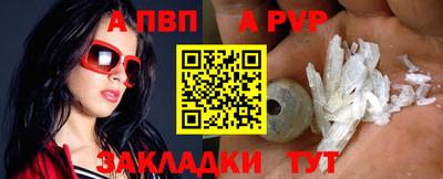 мдпв Кингисепп