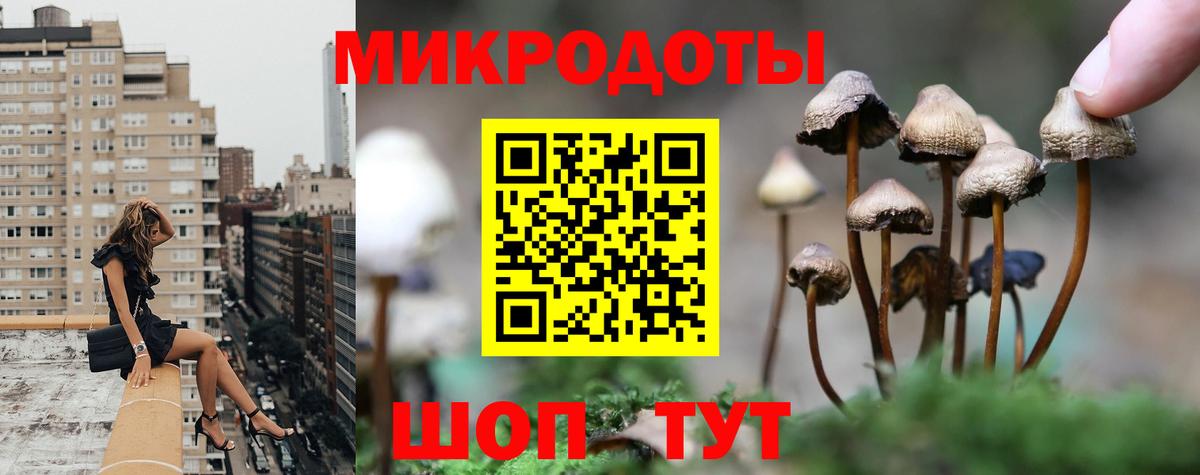 Галлюциногенные грибы MAGIC MUSHROOMS  Галлюциногенные грибы Cubensis  Кудымкар  Вход с VPN 